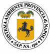 S.A.P. NA. S.p.A.